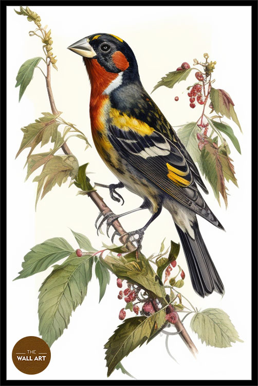 images/products/grosbeak_bird_iii/Grosbeak_bird III_BLACK_P.jpg